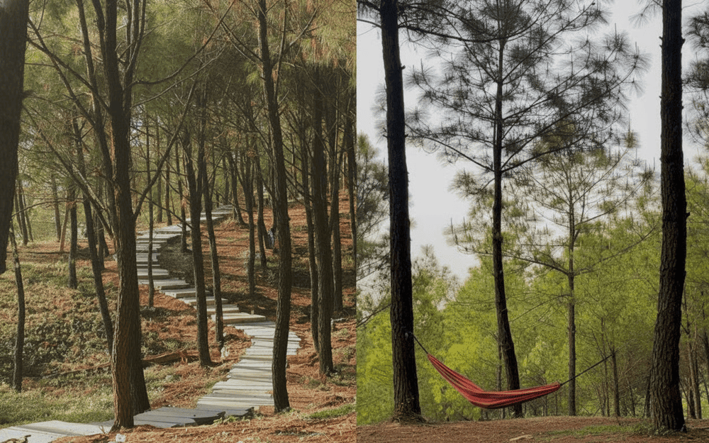 Thời tiết th&aacute;ng 03 - th&aacute;ng 08 kh&ocirc; r&aacute;o n&ecirc;n rất thuận lợi cho c&aacute;c hoạt động ngo&agrave;i trời tại đồi Vọng Cảnh